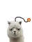 [bomb]al