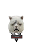 [bouncer]al