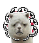 [flowerface]al