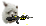 #kill#al