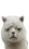 [???]al