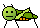 xx(bug