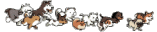 [run]